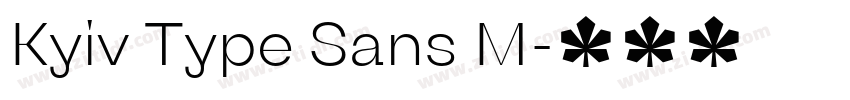 Kyiv Type Sans M字体转换